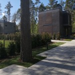 наша работа Устройство рулонного газона, Сосново