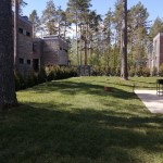 наша работа Устройство рулонного газона, Сосново