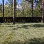 наша работа Устройство рулонного газона, Сосново