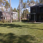 наша работа Устройство рулонного газона, Сосново